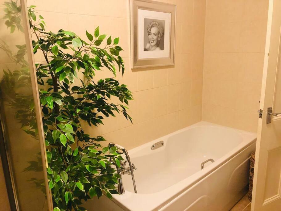Ilkley Garden Suite Екстер'єр фото